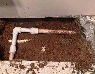 杜集测漏水哪家好