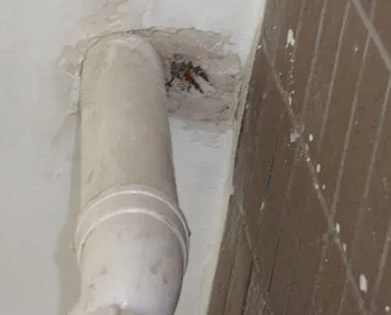 杜集漏水检测哪家好